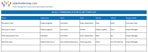 Functional Communication Profile Report Template Doc Tacitproject