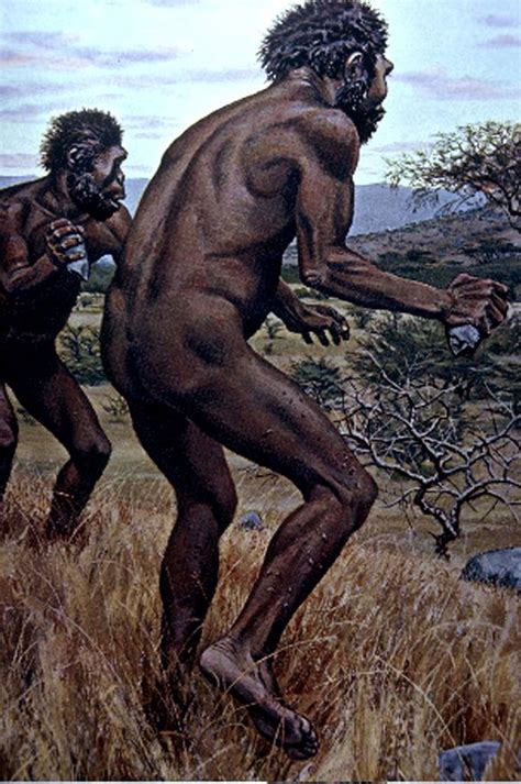 Homo Habilis Reconstruction By By Jay Matternes Homo Habilis Early