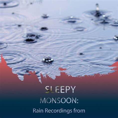 Zzz Sleepy Monsoon Rain Recordings From The Marsh Zzz Album By Rain