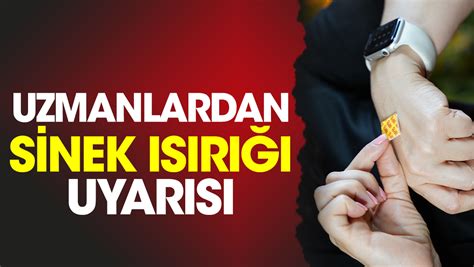 Uzmanlardan sinek ısırığı uyarısı