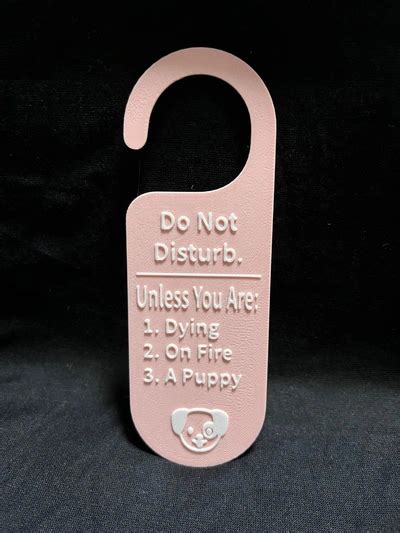 Naughty Do Not Disturb Door Hanger By Primaryparrot Makerworld