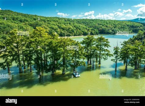 Cypress Tree Lake Hi Res Stock Photography And Images Alamy
