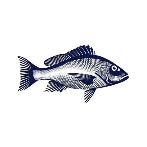 Fisch Vektor Illustration Premium Vektor