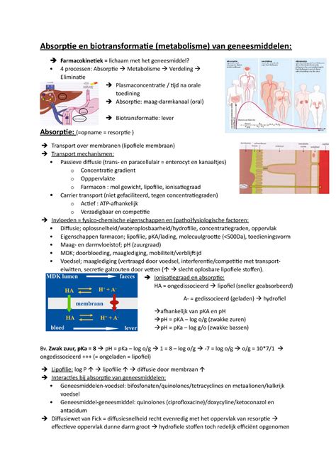 College Aantekeningen College Over Absorptie En Metabolisme