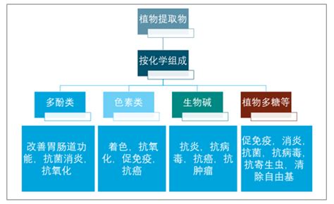 2020 2026年中国植物提取物行业市场运行状况及投资方向研究报告智研咨询