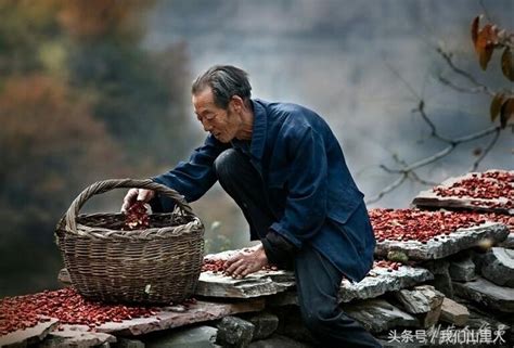 平凡的農村人，但農村人點綴的同樣是繽紛的世界。 每日頭條