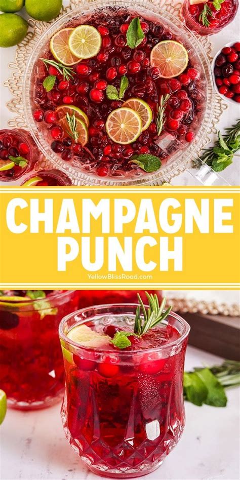 Champagne Punch Recipe Champagne Punch Recipes Holiday Punch