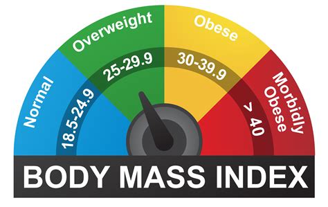 Pros with a Diploma in Nutrition Know: BMI Findings May Be Inaccurate ...