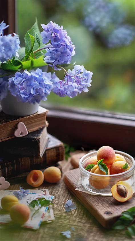 By The Window Apricot Decoration Flowers Food Fruits Morning