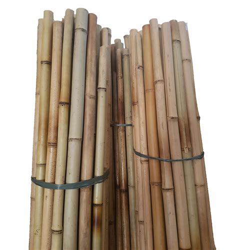 Bamboo In Vietnam Eco Friendly Sustainable Bamboo Poles Bamboo Pole