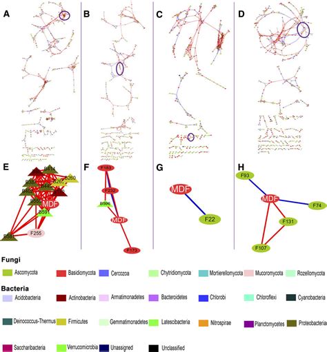 Rhizosphere Fungal Bacterial Co Occurrence Network And Subnetwork Of