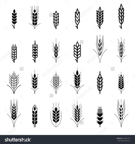 Поэтапное рисование Колоса (Множество фото!) - drawpics.ru