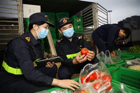 粤澳货物集报模式“一单两报”上线运行，湾区跨境贸易更便利