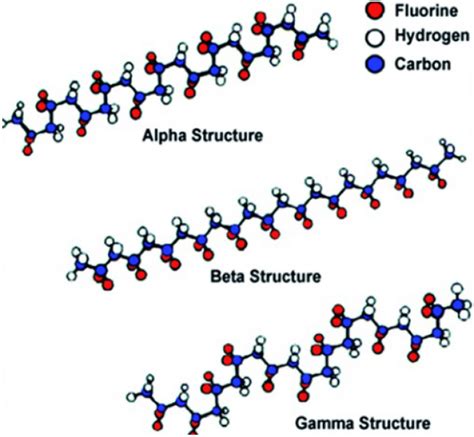 Chemical Structure Of Different Phases Of Polyvinylidene Fluoride 25