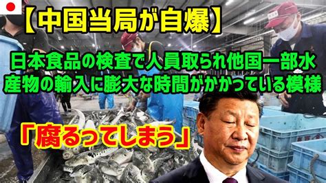 【速報】中国の検査による水産物輸入の影響と日本の対応【247 Japan】 Youtube