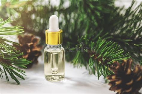 Essential Oil Bottle with Pine Tree Branch Stock Image - Image of branch, pinecone: 138456679