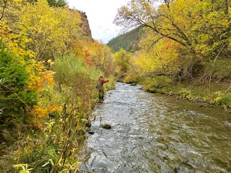 Golden Trout Wilderness Backpacking