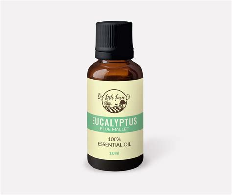 Eucalyptus – Essential Oil – Big Little Farm