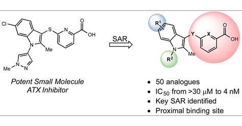 Structureactivity Relationships Of Small Molecule Autotaxin Inhibitors