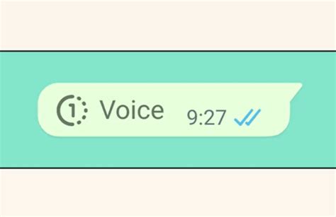 WhatsApp Visualizza Una Volta Ora Funziona Con I Messaggi Vocali