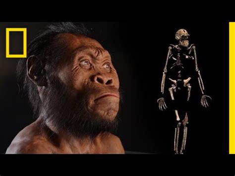 New Human Ancestor Discovered Homo Naledi Exclusive Video National