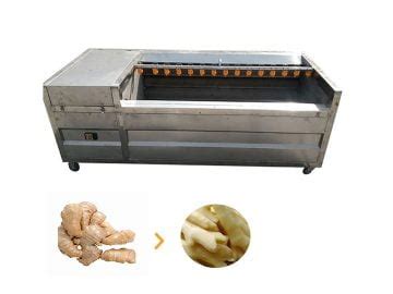 Brush Type Automatic Taro Peeling Machine Taro Cleaner With Wide Uses