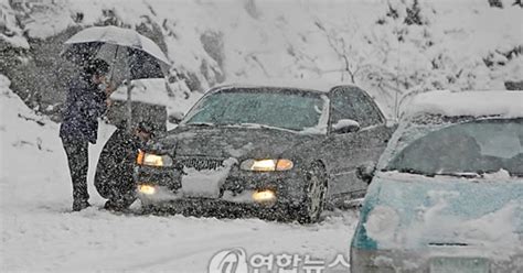 강원 14개 시군에 대설주의보