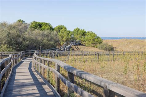 Parco Marittimo Ravenna Turismo