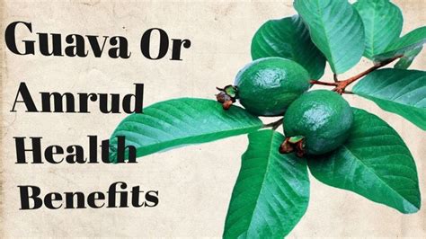 Discover the Amazing Health Benefits of Guava