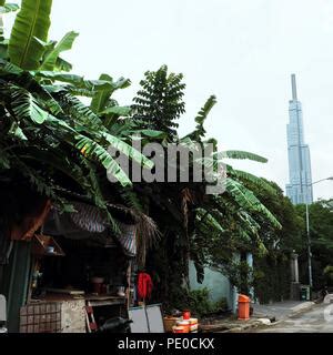 Contrast of modern highrise rich buildings and poor slums of Mankhurd in Bombay now Mumbai ...