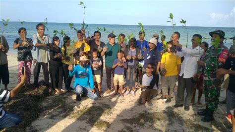 Kkp Tanam Mangrove Di Ntt Libatkan Pentahelix Tempo Co