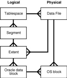 Logical Storage Structures