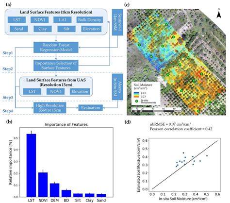 A Soil Moisture Downscaling Workflow Based On Random Forest