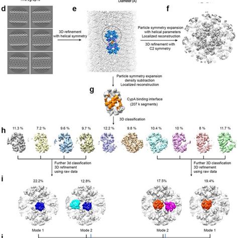 Data Processing And 3D Reconstruction Flowchart For Mature CA Hexamer