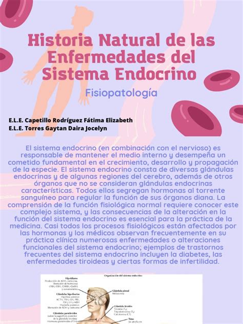 Enfermedades Del Sistema Endocrino Pdf