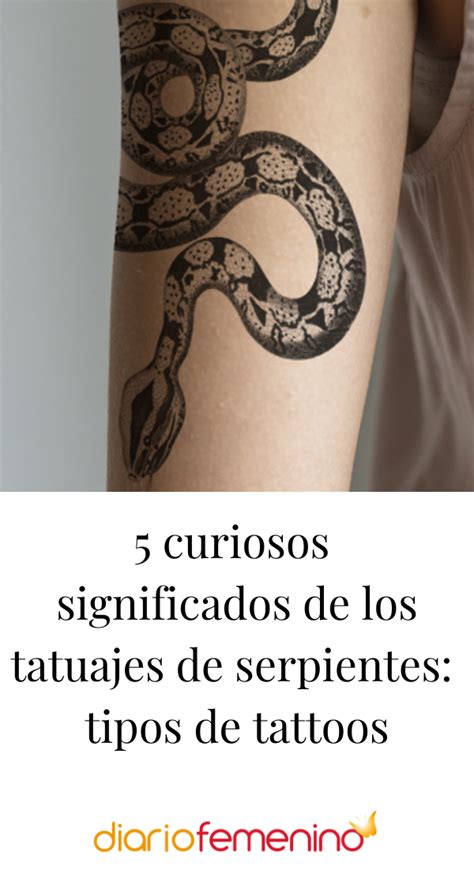 Principales tipos de diseños de tatuajes de serpientes