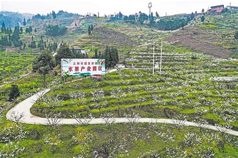 乐山日报数字报 “一地一县一城” 绿色沐川从“新”出发