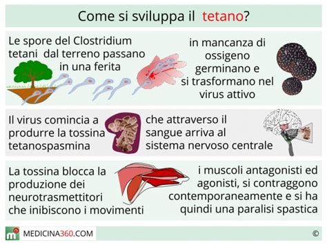 Tetano Incubazione Sintomi Diagnosi Vaccino Terapia E Prognosi