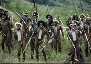 Los Melanesians An Adn Denisovan Sapi Ncia Eu