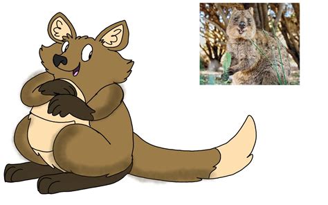 Quokka By Rubybadger223 On Deviantart