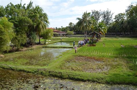 Rice Garden Museum Laman Padi Museum Langkawi