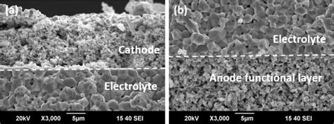 Cross Sectional Sem Images Of A The Interface Between Cathode And