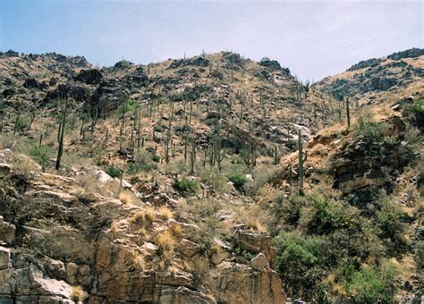 Bear Canyon Trail, Sabino Canyon, Tucson, Arizona