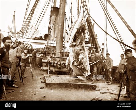 Wooden Whaling Ship