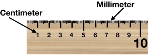 Meter Stick and Metric Ruler (New) – Lablearner Metriclab