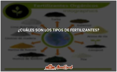 Tipos de fertilizantes guía completa y actualizada ALMARURAL