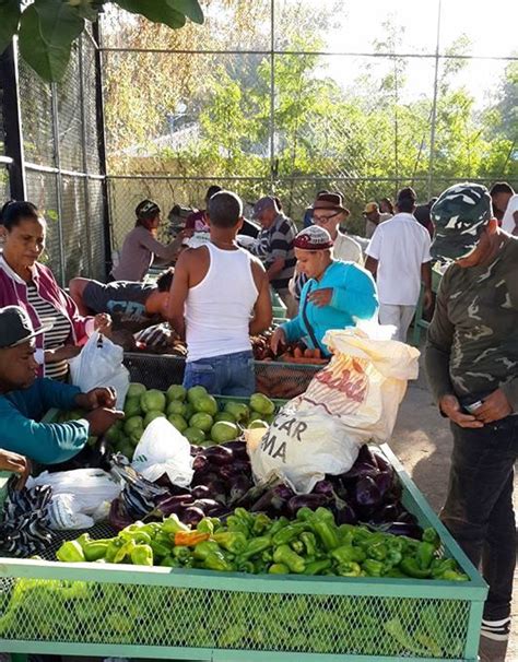 Inespre Inicia Mercados De Productores En Azua De Compostela Noticias