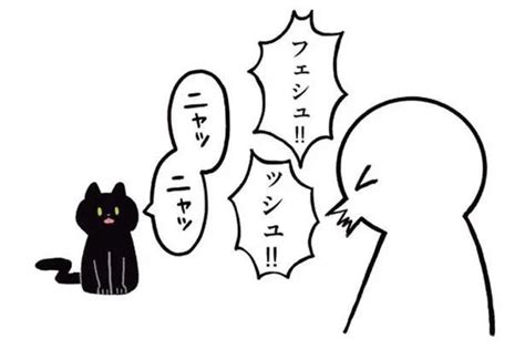 悪気はないのよ！飼い主のくしゃみに合わせて鳴いてくれるうちの子／黒猫ろんと暮らしたら（10） レタスクラブ