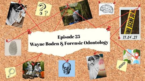 Ep Wayne Boden Forensic Odontology Wtf Youtube