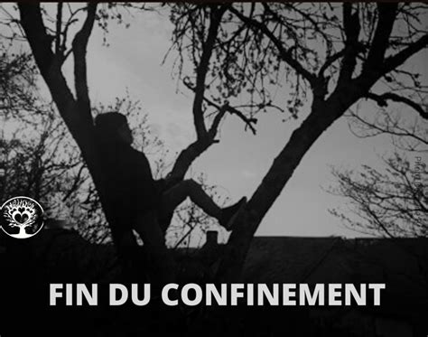 Fin Du Confinement Sylvie Etiève